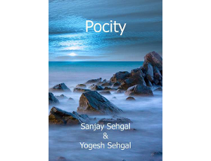 POCITY – Sanjay Sehgal & Yogesh Sehgal