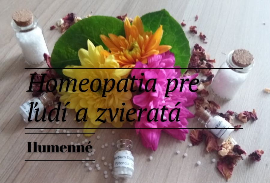 Drahomíra Čamajová SAKHom.